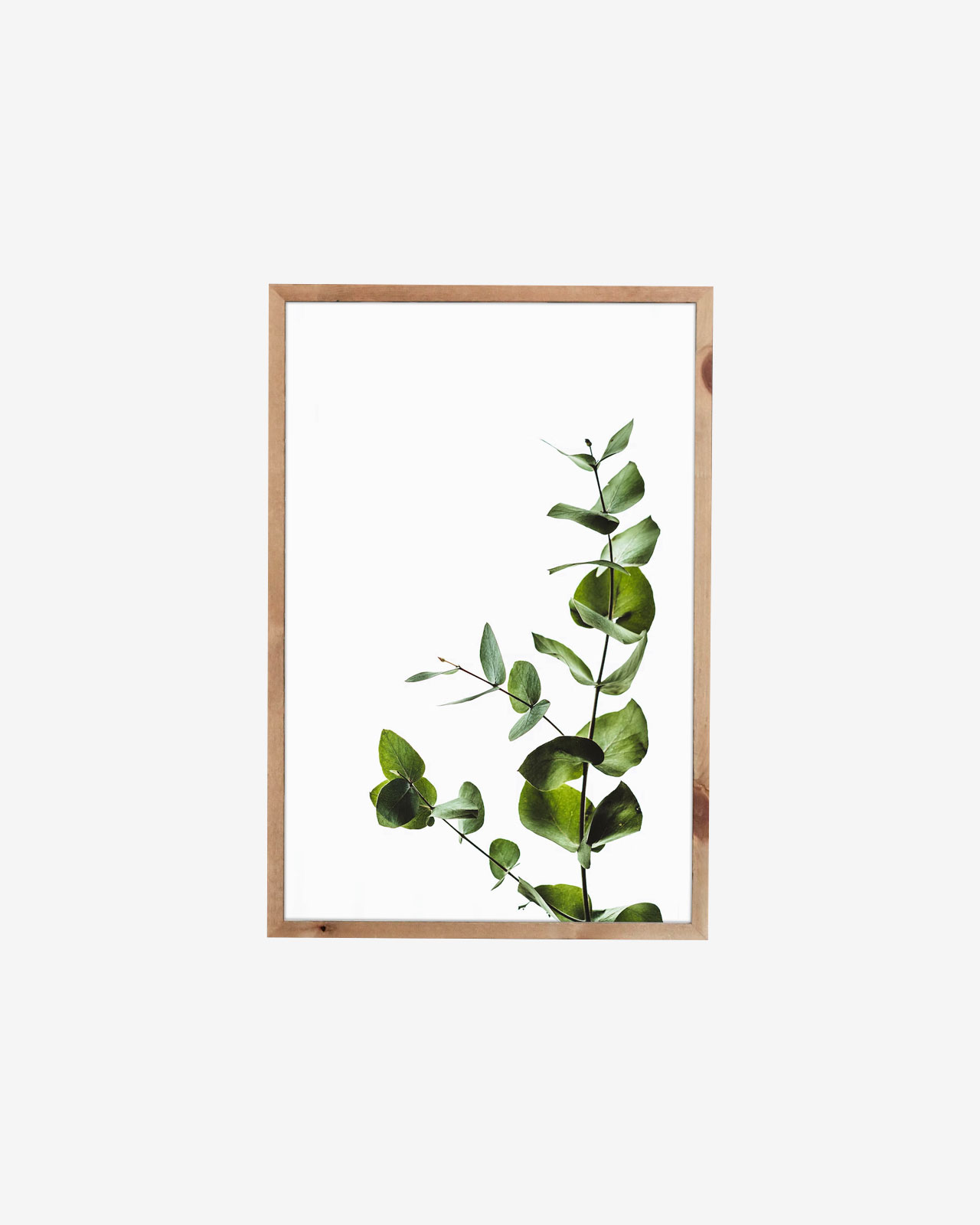 Framed Plant Artwork - Imagem 2